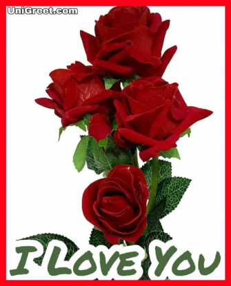 Love Rose Wallpaper Image