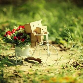 Danbo Bicycle Romantic HD Wallpaper S