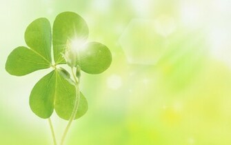 Earth Clover Wallpaper