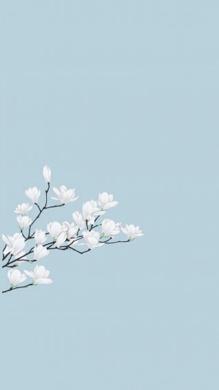 Simple Cute Aesthetic Wallpaper Phone