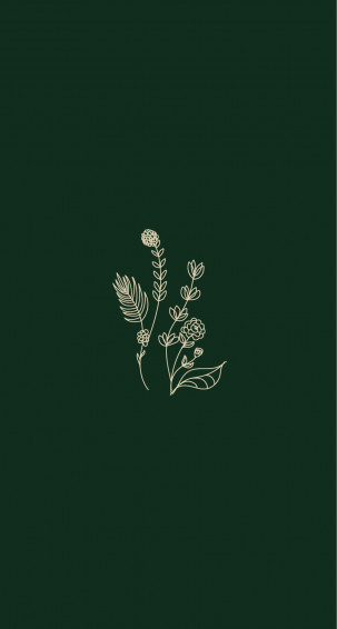 Aesthetic Green Minimal Different Plants Wallpaper