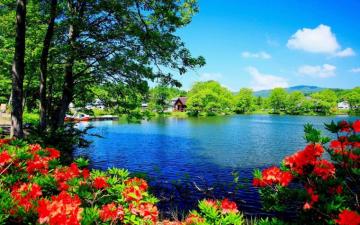 Beautiful Scenery Wallpaper Desktop