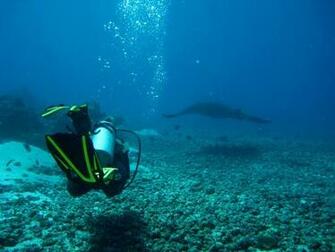 Scuba Diving Res Best Sites Where To Dive Next