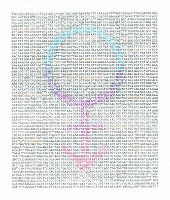 Pride Transgender By Chrisjamesart