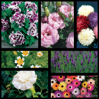 Gardens Inspired Wallpaper