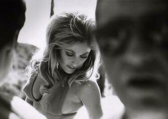 Sharon Tate Wallpaper Image Photos Pictures Background