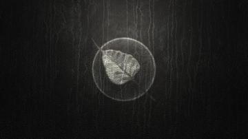 Bodhi Linux Leaf Wallpaper Wallbase Cc