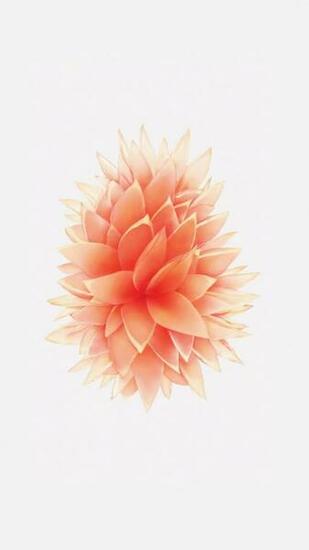 iPhone Se And iPad Pro Wallpaper Irumors Now