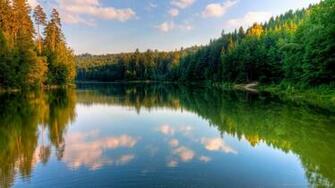 River Forest Wallpaper