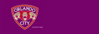 Brand Moore Art Case Study Orlando City Fc Lions