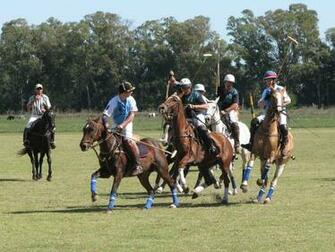 HD Wallpaper Horse Polo