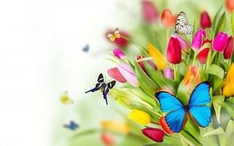 Flowers And Butterflies Wallpaper Sf