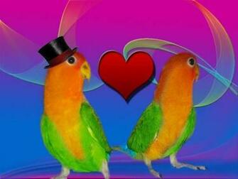 Love Bird Wallpaper