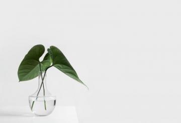 Simple Life Pictures Image