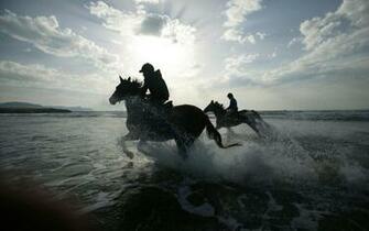 Wallpaper Sea Horse Clouds Beach Splash Desktop