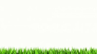 White Background HD Wallpaper WallpicsHD