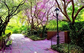 Beautiful Spring Park Wallpaper