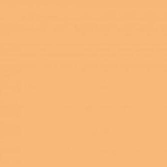 Mellow Apricot Solid Color Background
