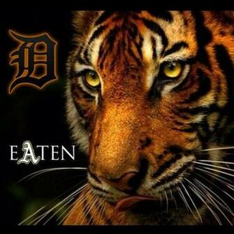 Detroit Tigers Advance In The American League Playoffs Pictures