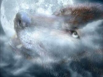 Wallpaper Wolf W Lfe 3d F R Desktop Bilder