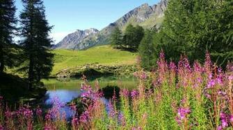 Wallpapertock Net Summer Beauty Html