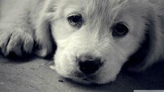 Sad Eyes Wallpaper