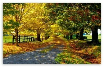 Autumn Season High Definition Wallpaper Beautiful Big Quoteko