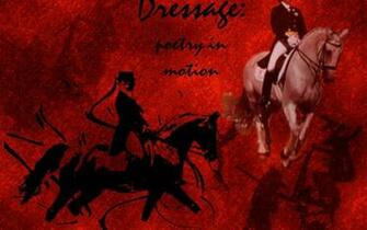 Equestrian Dressage Wallpaper
