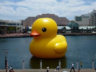 Giant Rubber Duck