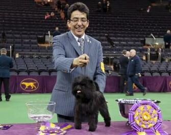 Banana Joe Named Best In Show At Westminster Dog