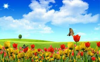 Butterfly On Tulip Field Wallpaper