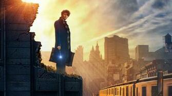 Fantastic Beasts And Where To Find Them Wallpaper