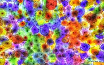 Chihuly Wallpaper