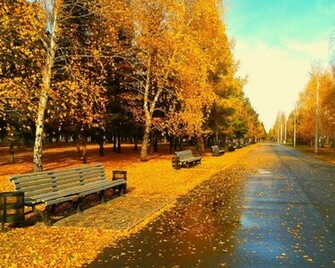 Sunny Autumn Day Desktop Pc And Mac Wallpaper