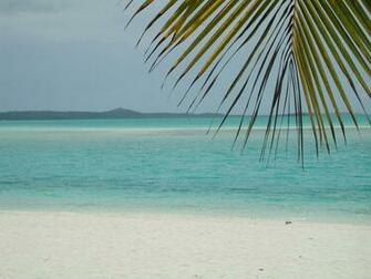 Gallery For Wallpaper And Screensavers Of The Ocean Or Beach