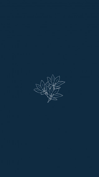 Aesthetic Minimalist iPhone Wallpaper
