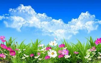 Nature Flower Wallpaper HD Best Collection Of Cool Flowers