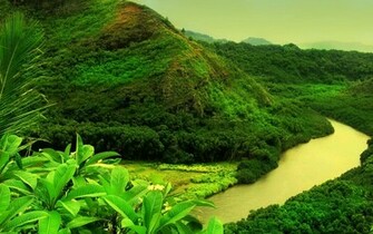 On August By Stephen Comments Off True HD Wallpaper