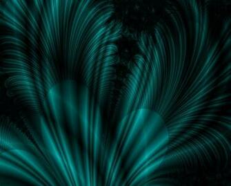Abanico De Plumas Teal Wallpaper