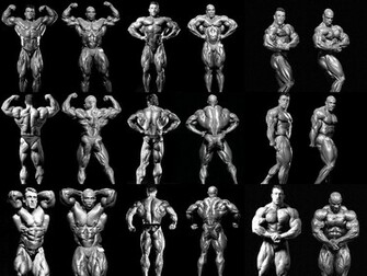 Six Star Muscle Ronnie Coleman Wallpaper