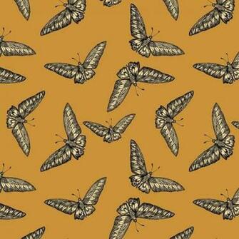Timorous Beasties Devine Moth Wallpaper Occa Home Uk