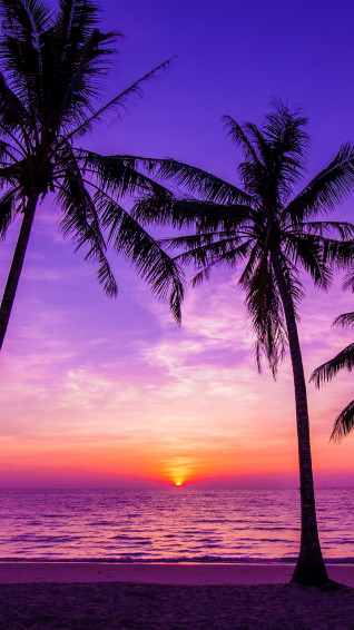 Very Cool And Nice Wallpaper