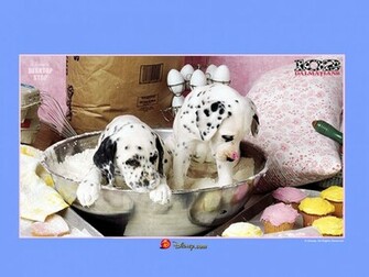 Disney Wallpaper Dalmatian Top Pictures