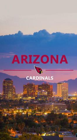 Chill Cardinals Phone Wallpaper R Azcardinals