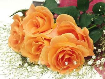 Awesome Orange Roses Wallpaper