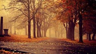Autumn Beautiful Computer Desktop Wallpaper Theme