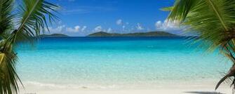 Wallpaper Tropics Beach Palm Trees Sand Dual Monitor