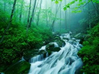 Wallpaper To Me Nature Scenes Rivers And Creeks N Fiumi E