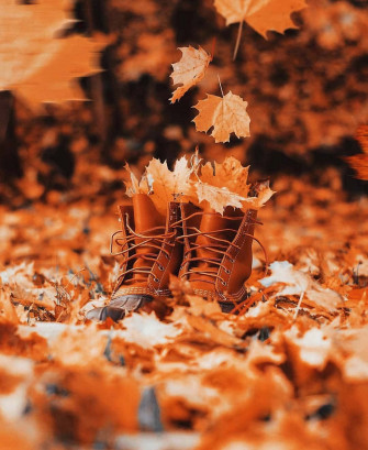Aesthetic Fall Picture Wallpaper