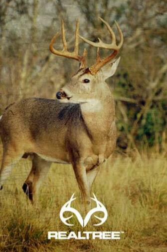 Realtree iPhone Wallpaper